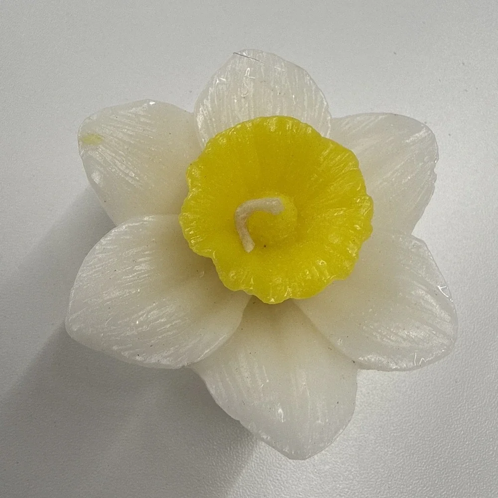 Set Of 12 Beautiful Daffodil‎ Flower-Shaped 2.5
